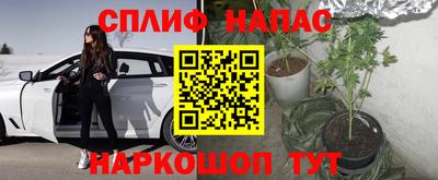 мяу мяу мука Нальчик