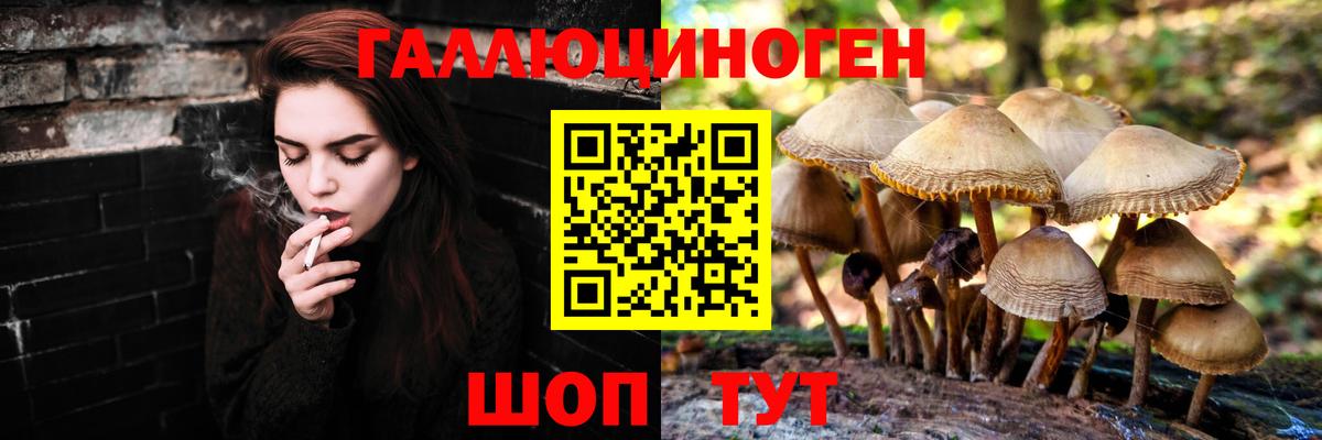 Черняховск  Псилоцибиновые грибы мухоморы  Вход с VPN  Галлюциногенные грибы GOLDEN TEACHER 
